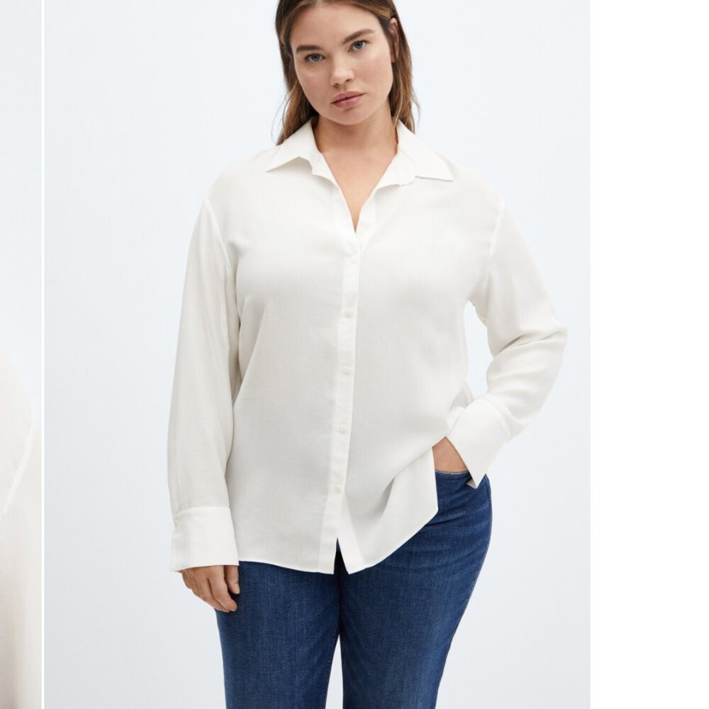 EUC Express Semi-Sheer Blouse